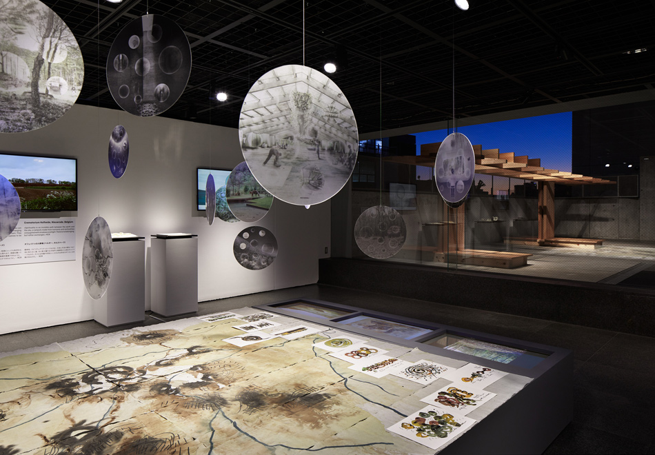 RCR arquitectes toto gallery ma designboom