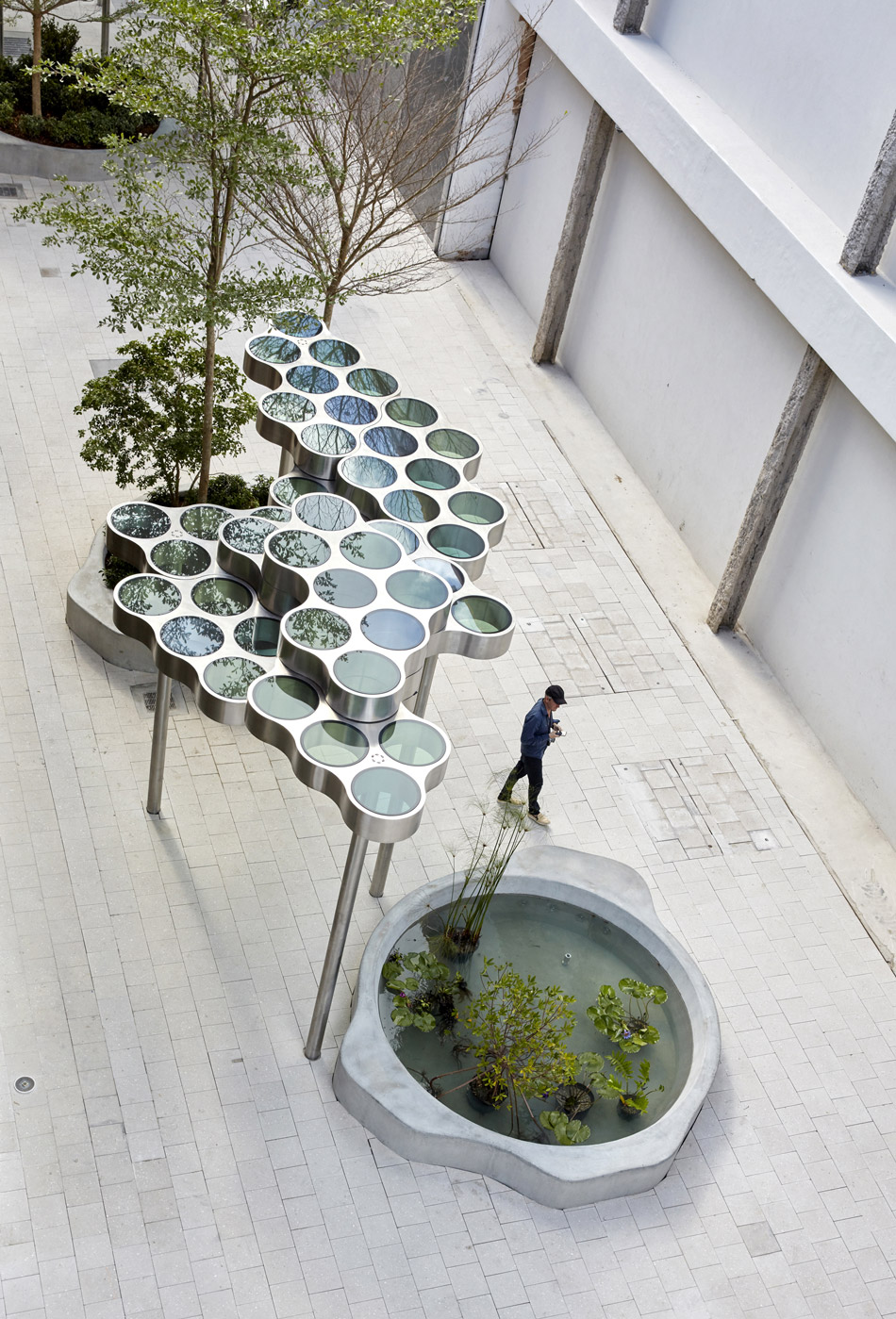 casting graphic shadows that vibrate with blues and greens like stained-glass windows