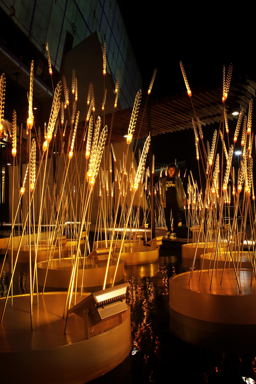 royal-rice-field-by-apostrophys-designboom-102_0