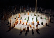 sarah sze US pavilion venice art biennale 2013