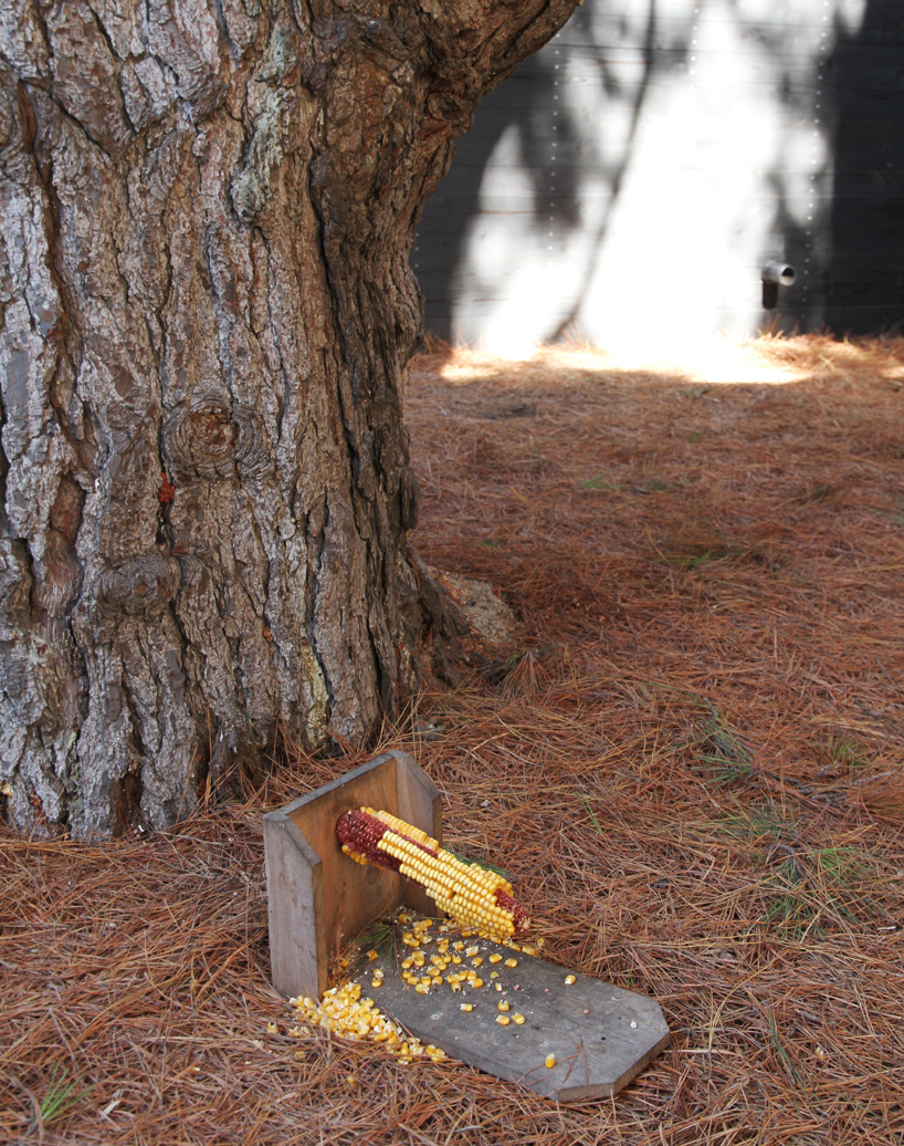 sebastian-mariscal-dwell-home-venice-california-designboom-17