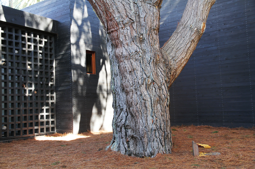 sebastian-mariscal-dwell-home-venice-california-designboom-18