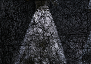 shiota chiharu's 'the soul trembles' exhibition at mori art museum tokyo designboom