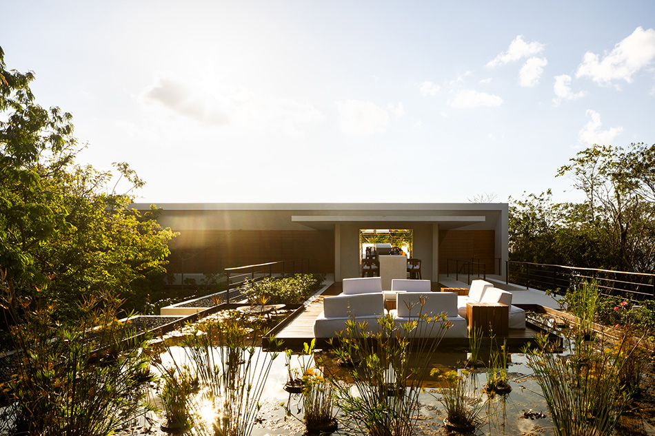sordo madaleno cozumel house quintana roo mexico designboom