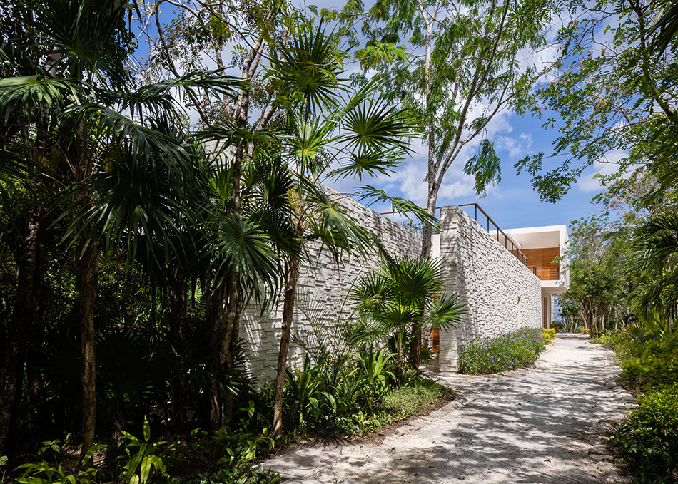 sordo madaleno cozumel house quintana roo mexico designboom