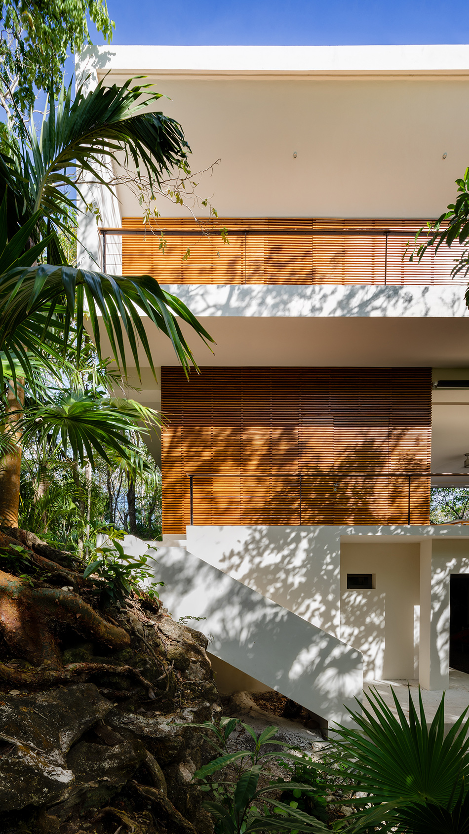 sordo madaleno cozumel house quintana roo mexico designboom