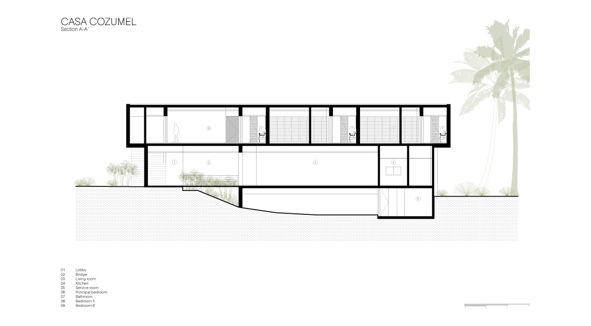 sordo madaleno cozumel house quintana roo mexico designboom