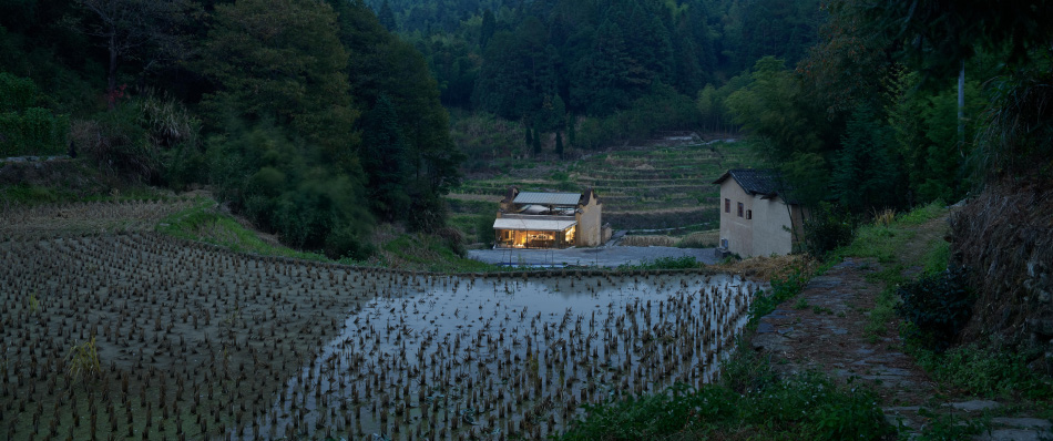 TAO xiadi paddy field bookstore librairie avant-garde designboom