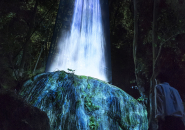 teamlab where the gods live designboom