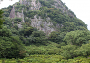 teamlab where the gods live designboom