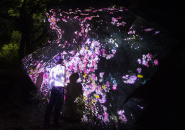 teamlab where the gods live designboom