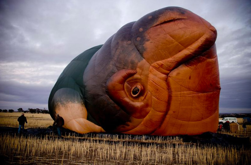 the skywhale hotair balloon by patricia piccinini