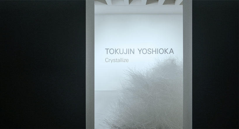 tokujin yoshioka crystallizes swan lake and rose