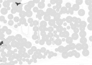 tree snake houses by luis and tiago rebelo de andrade