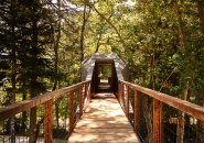 tree snake houses by luis and tiago rebelo de andrade