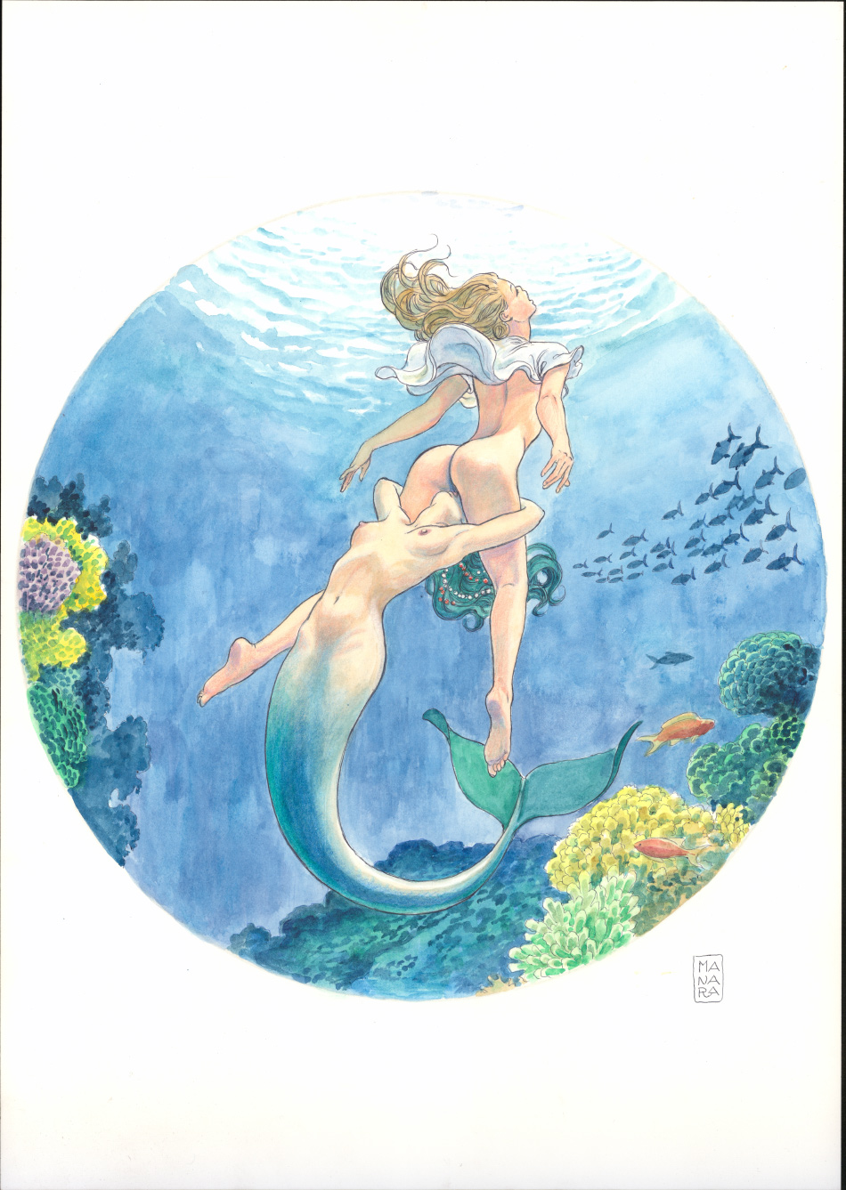 Milo manara mermaid