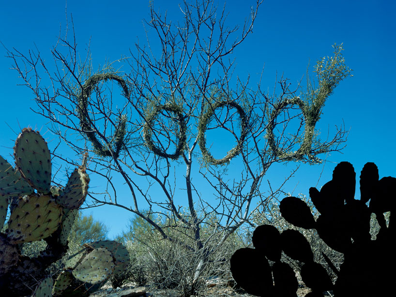 stefan sagmeister interview