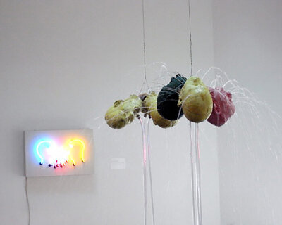 bruce nauman: 'topological gardens' at the venice art biennale 09