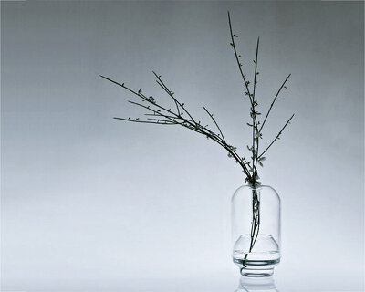 A+A cooren: tourbillon vortex vase