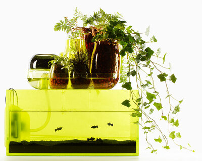 domestic ponds by mathieu lehanneur, benjamin graindorge + eric jourdan