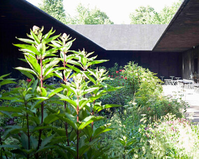 peter zumthor's serpentine pavilion is now complete