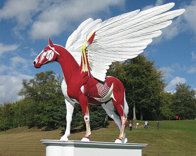 damien hirst at chatsworth house