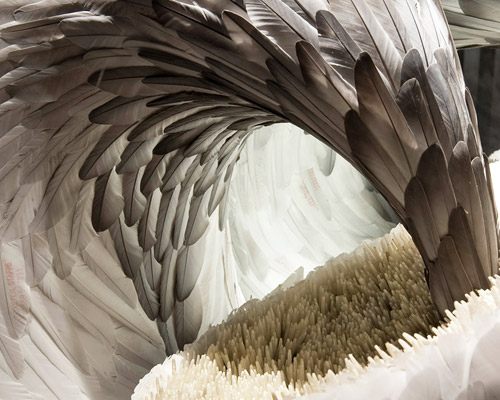 feather sculptures by kate mccgwire