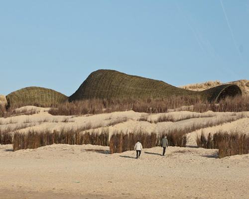 casagrande laboratory: sandworm at beaufort04