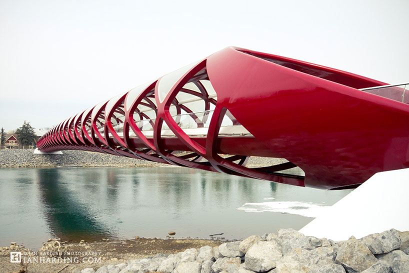 santiago calatrava: peace bridge in calgary, canada