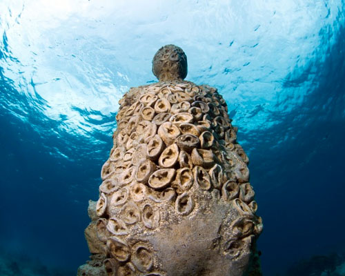 underwater eco sculpture series by jason decaires taylor