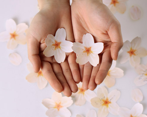 designboom shop: cherry blossom memo stickers by appree