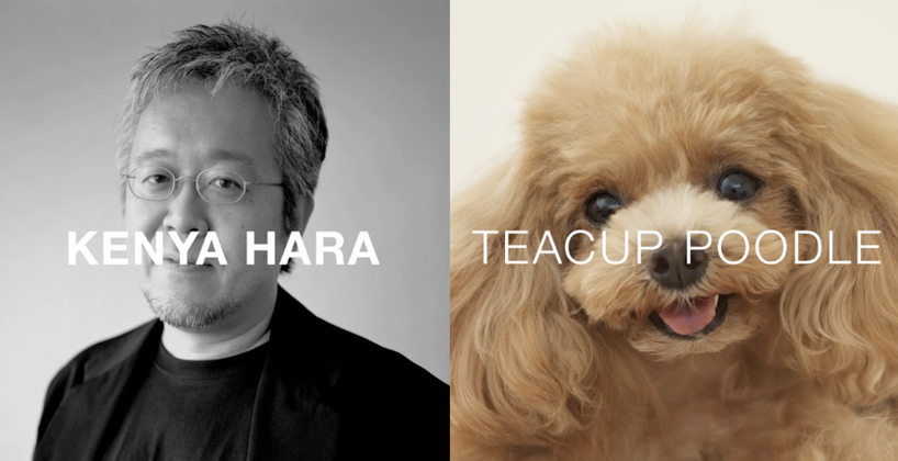 architecture for dogs   DIY canine structures by famed architects and designers