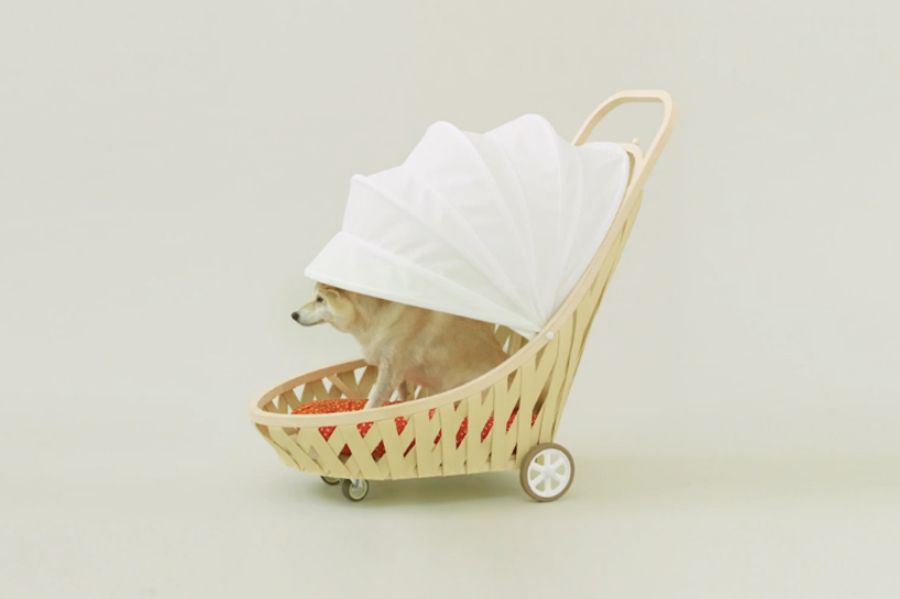 architecture for dogs   DIY canine structures by famed architects and designers