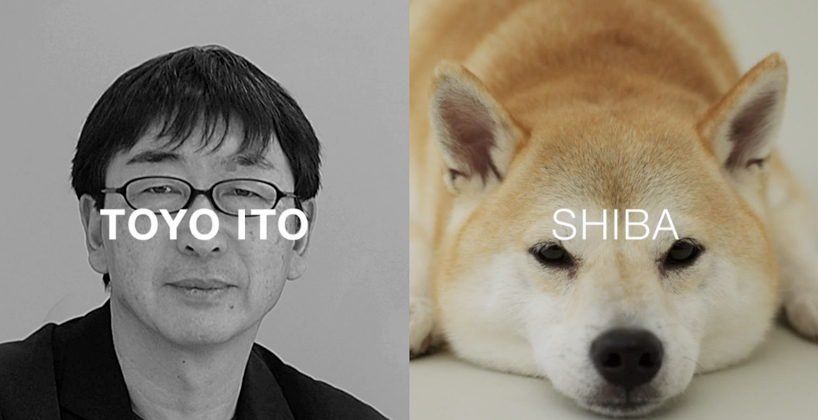 architecture for dogs   DIY canine structures by famed architects and designers
