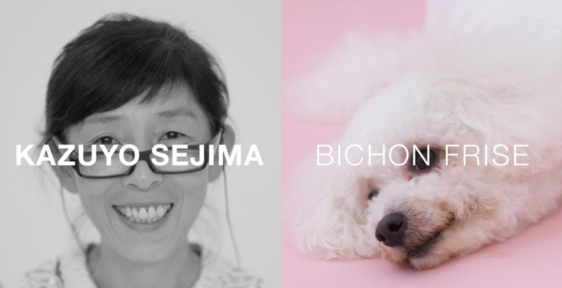 architecture for dogs   DIY canine structures by famed architects and designers