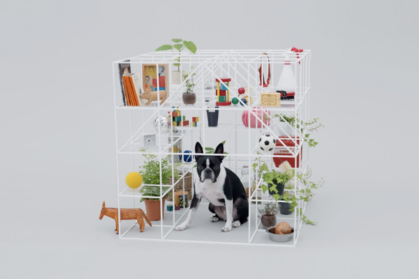 architecture for dogs   DIY canine structures by famed architects and designers