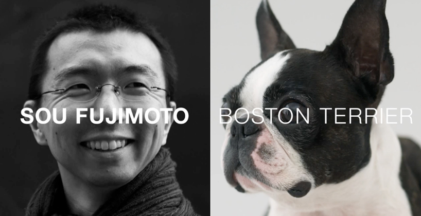 architecture for dogs   DIY canine structures by famed architects and designers