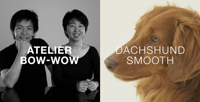 architecture for dogs   DIY canine structures by famed architects and designers