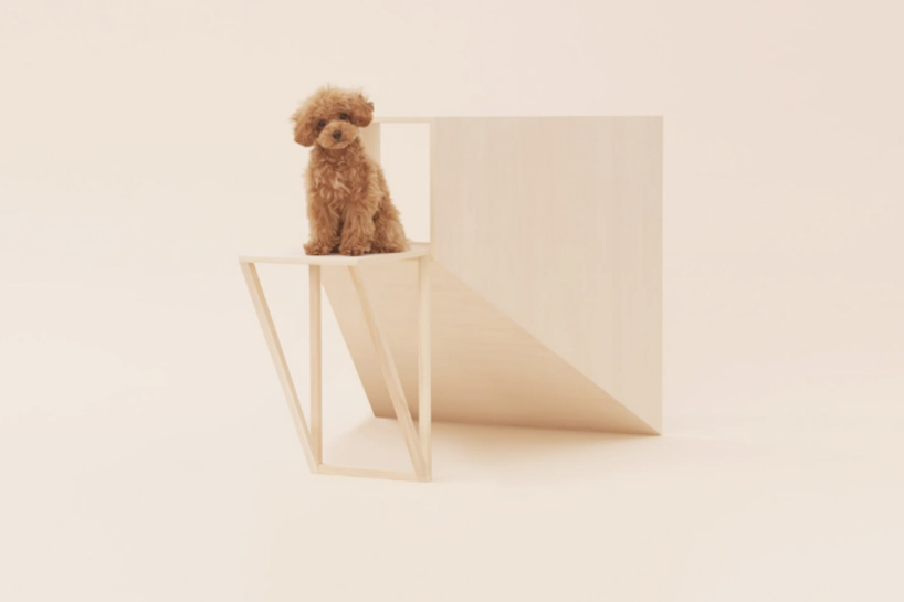 architecture for dogs   DIY canine structures by famed architects and designers