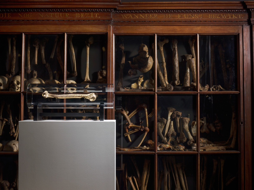 caspar berger uses 3D printer to produce skeletal self portraits