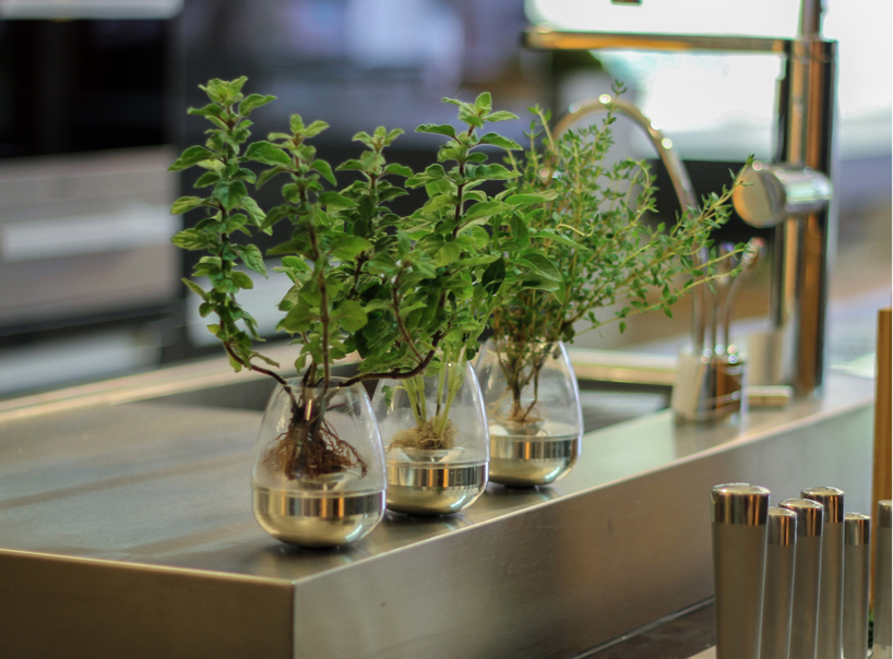 pod fogponic garden system by greenfingers