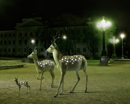 designboom shop: oreflector safety reflective badge by march