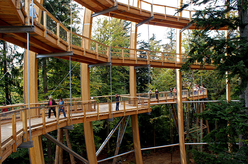 44 metre high tree top walkway in bavarian forest national park