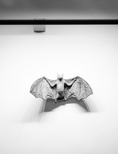 mura wall washer by trust in design