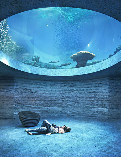 boltshauser architekten beats zaha hadid + MVRDV to design basel aquarium