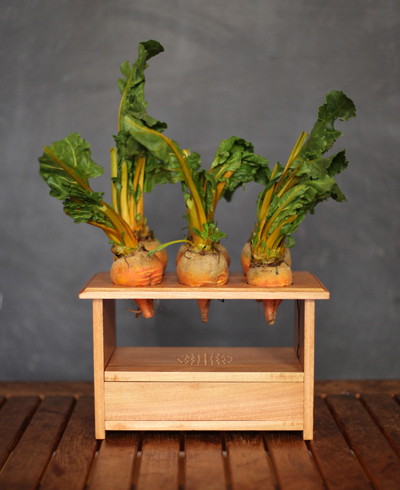 beetbox a musical instrument powered by vegetables by scott garner