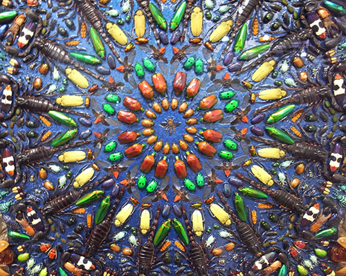 capaneus by damien hirst   intricate insect mandala 
