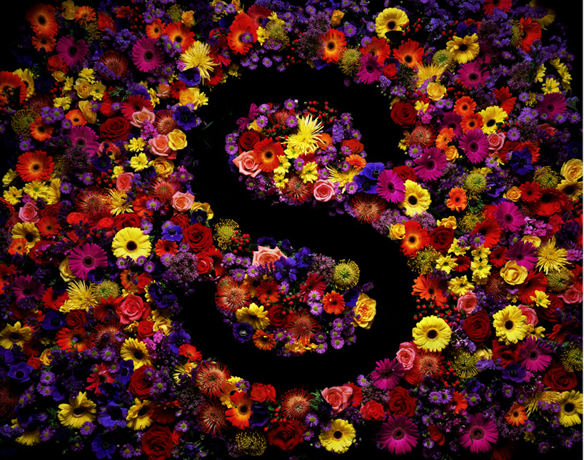 dan tobin smith: alphabetical