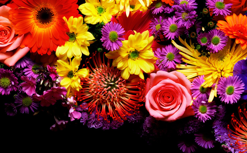 dan tobin smith: alphabetical