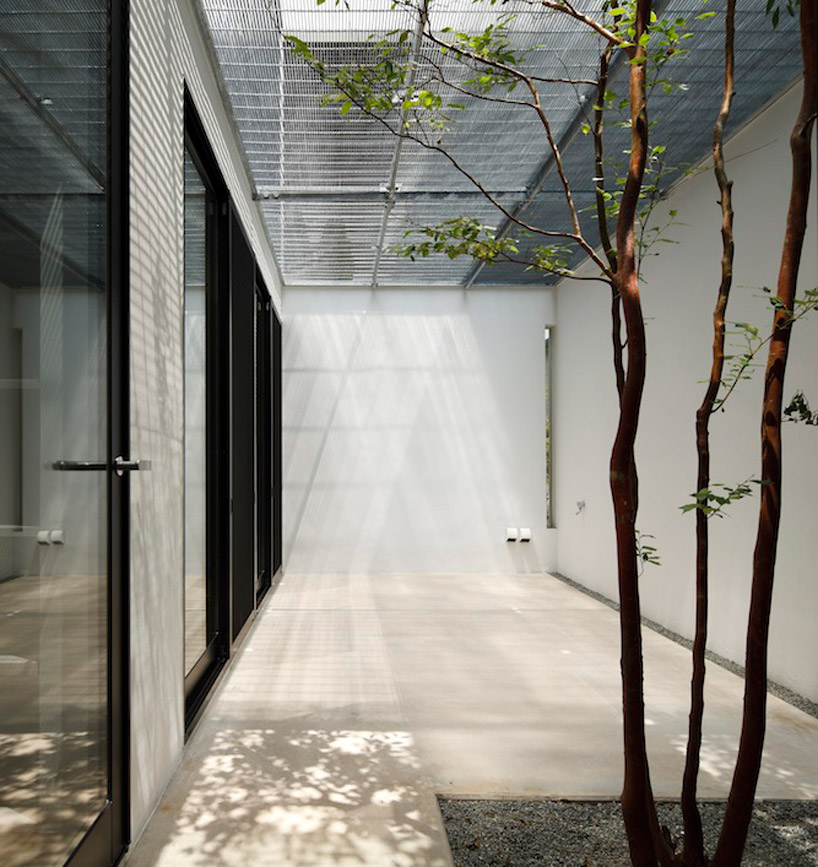 apollo architects and associates: dent   a house for a dentist